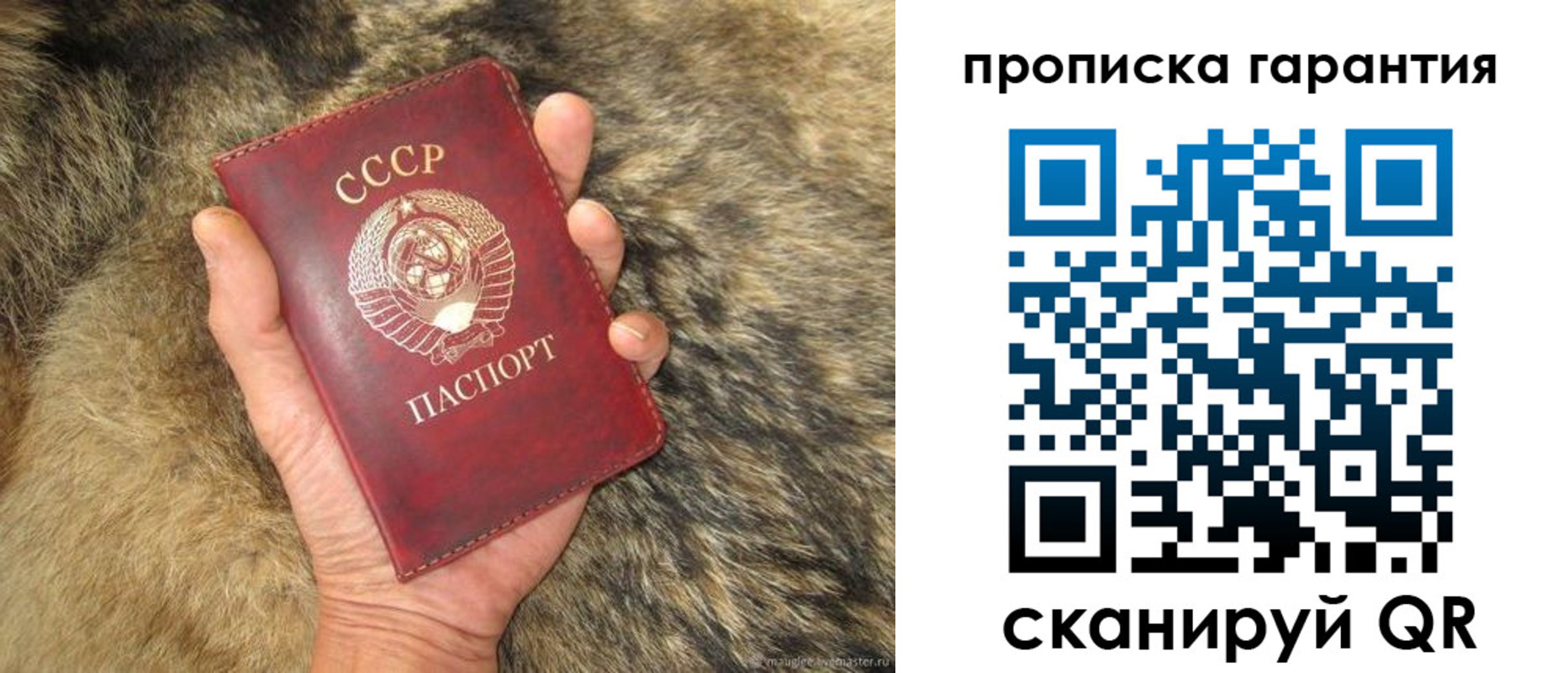 временная регистрация гарантия в Малоярославце